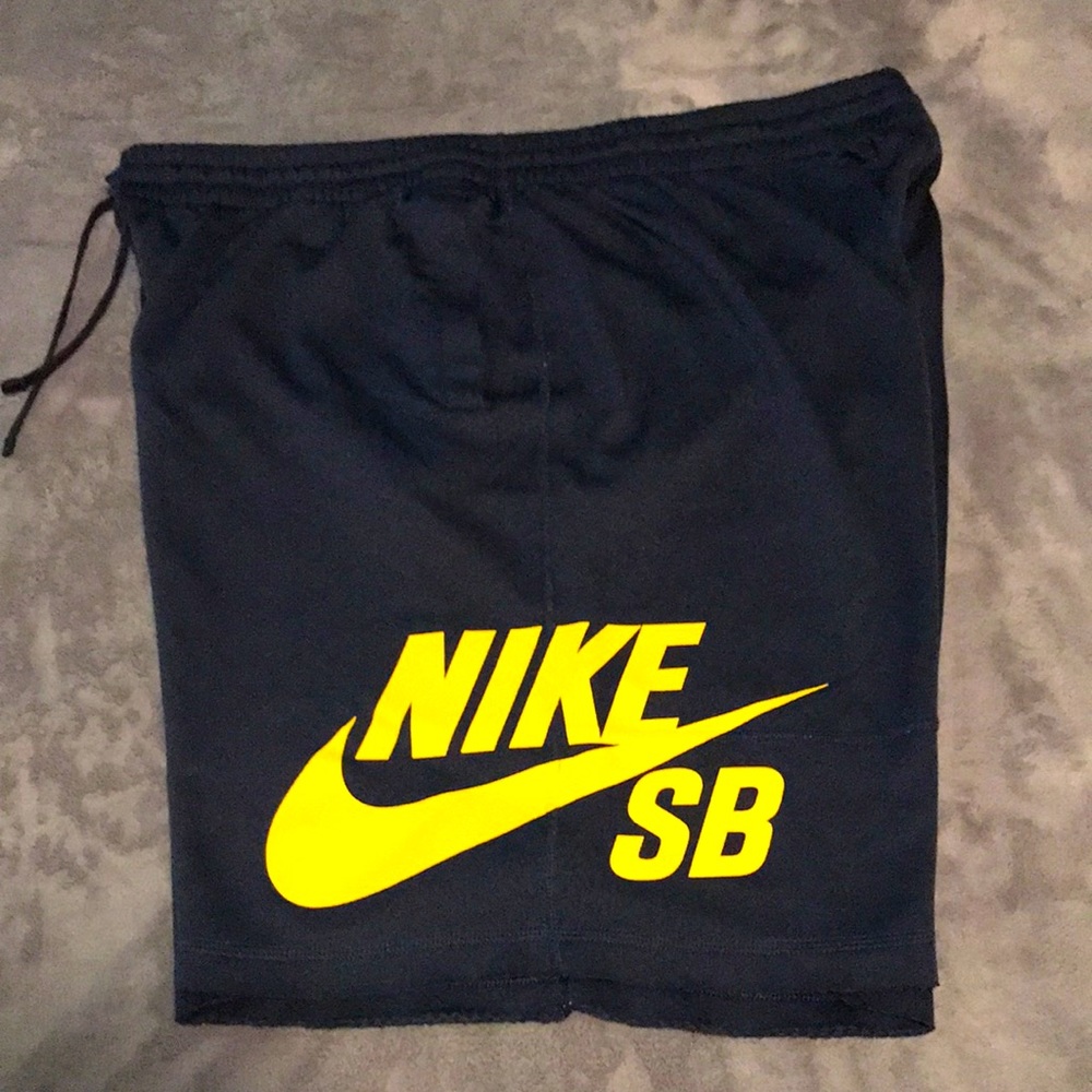 Nike SB Dri Fit Shorts